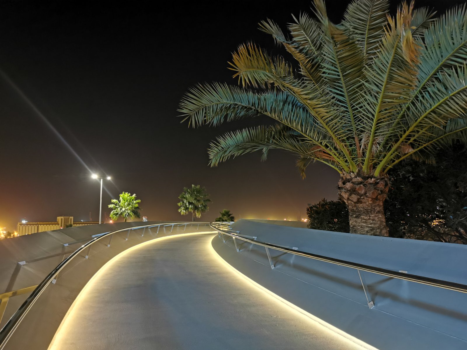 Tablero iluminado de noche junto a la palmera